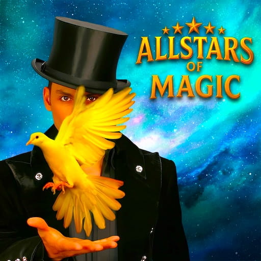 Performer: Allstars Of Magic